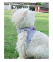 Correa Para Mascotas Ajustable Y Antirrompida De Talle Suave Transpirable Tipo Chaleco Para Perros Y Gatos Pequeños Con Correa Para El Cuello Y La Espalda - details 19