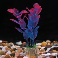 Plantas Submarinas Artificiales Para Acuarios Decoración De Plástico Realista 10cm Falsas Malvaviscas Adorno Para El Hogar - details 0