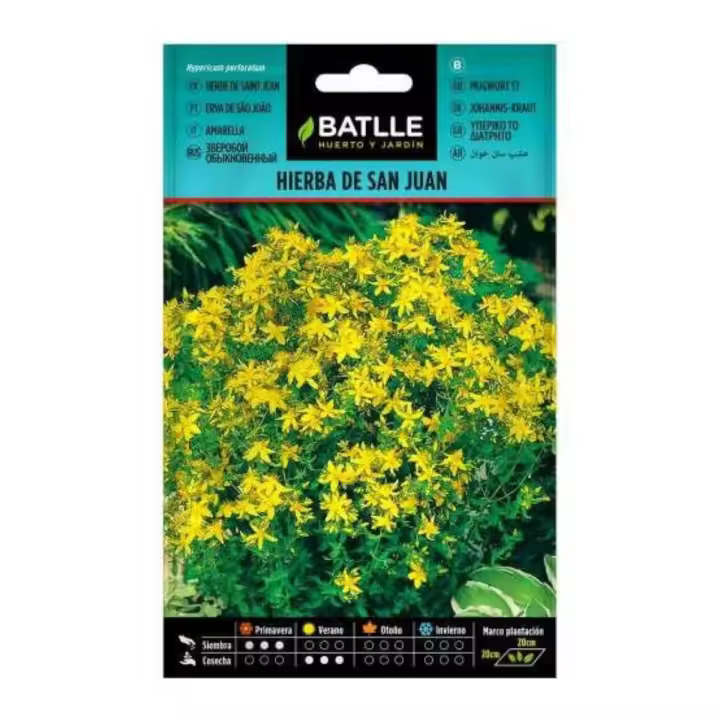 Batlle Hierba de San Juan Semillas - Altura 80-100 Cm - Peso Neto 1 G - 1