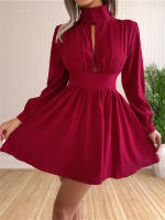 Vestido Mini De Cuello Alto Manga Larga Casual Para Mujer Vestido Swing Con Agujeros Ajuste Regular Polyester Estilo Sexy Y Club - details 9