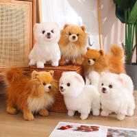 Nueva Premium Peluche Lindo Pomeranian Perro Juguetes Real Vida Muñeco De Peluche Suave Mascota Para Niñas Niños Regalo Encantador - details 3