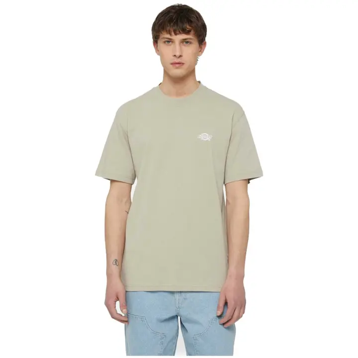 Textil Lifestyle marca Dickies modelo Dk0A4Yaiss01 para hombre en color marrón - 1