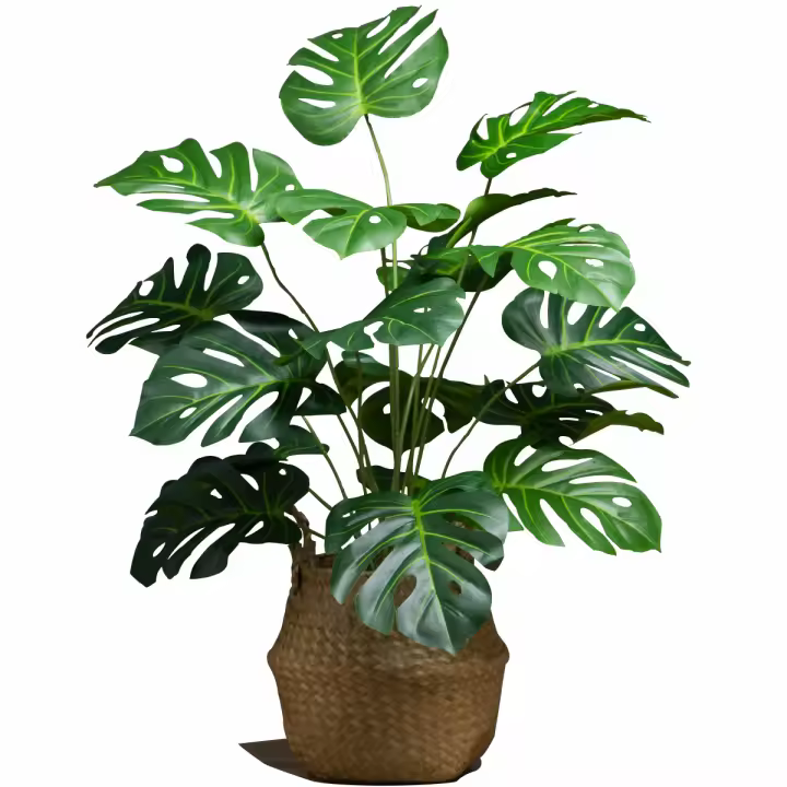 Árbol De Palma Artificial De 65cm Con 18 Hojas Monstera Falsa Para Jardín Interior Y Exterior Planta Tropical De Hojas Verdes Grandes De Plástico - 1