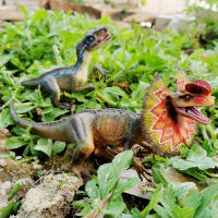 Juguete De Dinosaurio Velociraptor Para Niños Con Mandíbula Móvil Juego Y Colección De Dilophosaurus Realista Para Edades 3-12+ - details 8