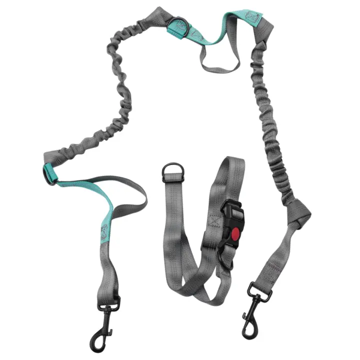Correa de Cintura para Perros con Doble Bungee Resistente a los Ataques Ideal para Perros de hasta 150 lbs con Mango Ajustable - 1
