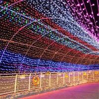 Guirnalda De Navidad LED Con Enchufe EU 10/20M Para Árbol De Navidad Fiesta Bodas Año Nuevo Luces De Fiestas Exterior - details 7