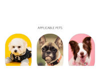 Correa Y Arnes Ajustable De Nylon Para Perros Pequeños Y Medianos Preventa De Escape Macaron Arnes Y Correa Para Caminar - details 4