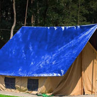 Tarpaulin Grande Impermeable De 2mx2m/3m Cubierta De Lluvia Para Jardín Fuerte Y Multipropósito Awning Canopy Para Exterior - details 2