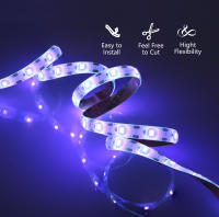 Tira De Luz LED UV DC 5V 395-405nm 1M 2M 3M SMD 2835 Impermeable Para USB Para El Hogar Y Jardín Cadena De Luces Flexibles - details 4