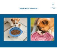 Tazón De Alimentos Para Perros Y Gatos De Silicona Plegable Portátil 650ML Y 350ML Tazón De Agua Para Mascotas Universal - details 5