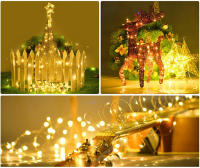 Luces De Cadena LED Con Hilo De Cobre 2M 3M 5M 10M Para Decoración De Fiesta De Boda Y Navidad Iluminación De Guirnalda Eléctrica Al Piloto - details 15