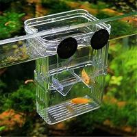 Incubador De Acuario Multifuncional Para Crecimiento De Peces Transparente 1L Con Doble Capacidad Para Guppies Y Reproducción De Peces - details 1