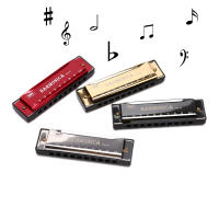 Harmonica De 10 Agujeros Organ Puzzle Instrumento Musical Para Principiantes Caja De Resina Material De Cobre Phosphor Bronze - details 1