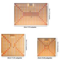 Lámpara De Crecimiento LED De Espectro Completo 300W Para Plantas Uso En Invernadero Interior Iluminación Para Frutas Suculentas Y Agricultura De Sopletes - details 11