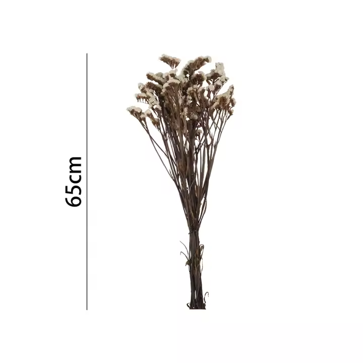 Poenia Arte Floral - Flor Seca Statice 65CM - Flores Preservadas - REF 7175 - Durabilidad prolongada - Apariencia natural - Sostenibilidad - Fragancia Natural - 1