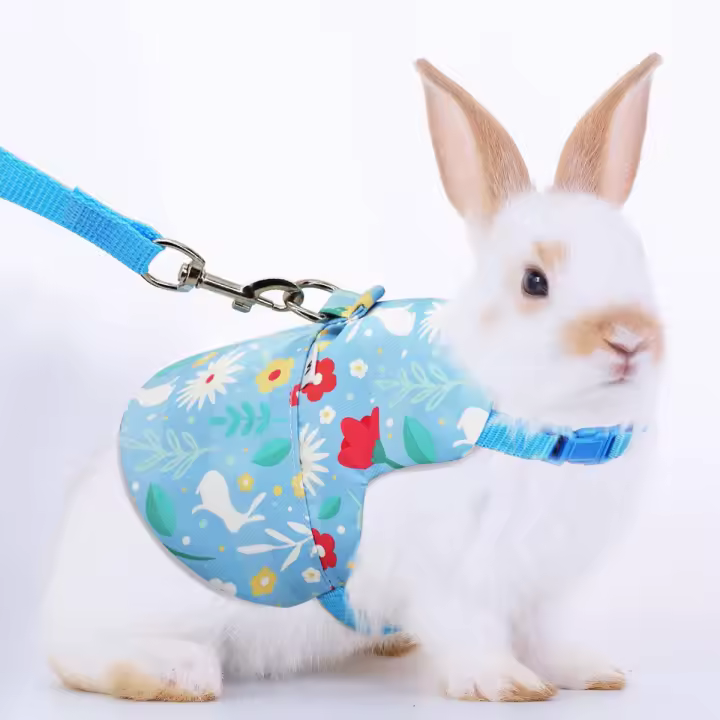 Juego De Manija Para Cuello Y Espalda Para Mascotas Ligero Transpirable Cómodo Y Suave Para El Cuidado De Los Animales - 1