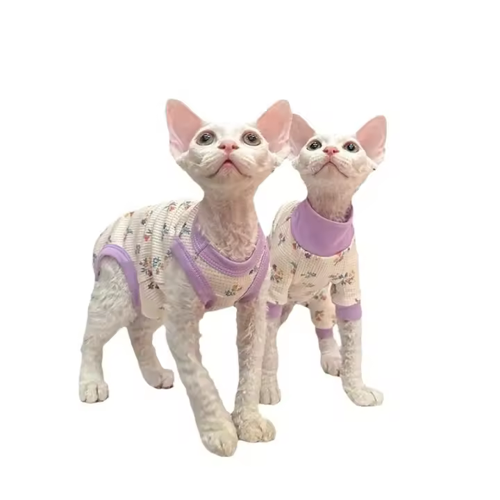 Nueva Ropa De Gato Con Patas Cuatro Flores Sin Pelaje Protección Del Estómago Estilo Moda Adecuada Para Gatos Sphynx Devon - 1