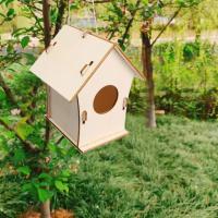 Caja De Pájaros De Madera Miniatura Para Exterior Casa Colgante Para Pájaros DIY Pintura Decoración De Jardín Cova Para Papagayo - details 16