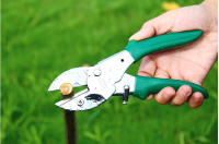 Tijeras De Poda LAOA SK5 De 8 Pulgadas Con Hoja De Repuesto Herramienta De Jardinería Antideslizante Para Recortar Frutas Y Plantas - details 2
