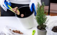 Piedras de Arlita Expandida Flonatur - Saco de 50 Litros para Drenaje de Macetas y Jardines, Ideal para el Mantenimiento de la Humedad del Suelo - details 0