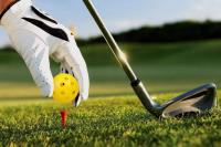 50pcs Balones De Práctica De Golf 42mm 26 Huecos Plásticos Para Interior Material PE Juguete De Agujero Para Niños - details 7