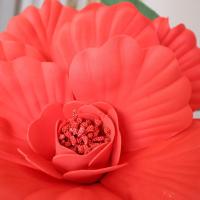 Nuevas Grandes Flores Artificiales De Paeonia PE 50cm Para Exhibición De Ventanas Simulación De Pétalos De Flor Para Fotografía Y Decoración Del Hogar - details 8