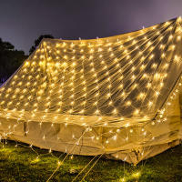 Luz De Encaje LED Para Cortina 3x2m 200led EU 220V Decoración De Jardín Exterior Navidad Boda Fiesta Accesorio De Hogar - details 3