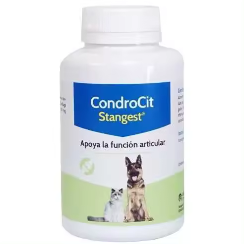 Condrocit para Perros y Gatos  Condroprotector para Perros y Gatos Condrocit - 1