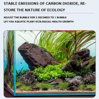Nuevo Sistema De Regulación De CO2 Para Acuario Válvula Electromagnética Y Contador De Bolbolas Control De CO2 Para Tanque De Peces Válvula Reductora De Presión CO2 DIY - details 1