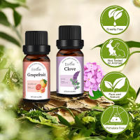 Aceite esencial absoluto de rosa búlgara, 100 % puro, de calidad superior, sin diluir, natural, terapéutico, para aromaterapia, ideal para difusores, piel, rostro y cabello. - details 10