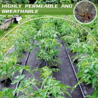 Malla Anti-Plantas Geotextil Para Control De Malas Hierbas Suelo Permeable Para Riego Sombreador De Cultivos Para Invernadero - details 3