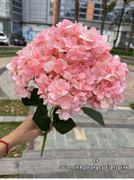 Gran Tamaño 5 Cabezas De Flores Artificiales Hydrangea En Blanco Y Rosa Para Boda Decoración De Fiesta En Casa Flores Silken Para Arreglo De Novia - details 4
