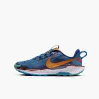Zapatilla Nike Trail Junior  Pegasus  5 Fv5638 400 Azul - details 3