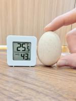Mini Higrómetro Termómetro LCD Para Interior Medidor De Temperatura Y Humedad Digital Con Sensor Pared Montado - details 0