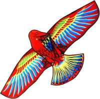 Eagle Kite Reel De Manejo Para Vuelo De Grandes Lanchas Aireales Accesorio Profesional Para Niños Y Adultos Juguete De Juego Al Aire Libre Forma Animal Polyester - details 3