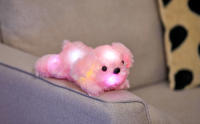 Muñeco De Peluche LED Rosa 25cm Juguete Luminoso Suave Y Cálido Para Niñas Y Niños Regalo De Cumpleaños Animal De Estuffed Pequeño Y Cozy - details 9