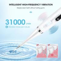 Limpia Dientes Scaler Electrónica Portátil Para Eliminar Calca Y Frescar El Aliento Carga USB Cuidado Oral - details 2