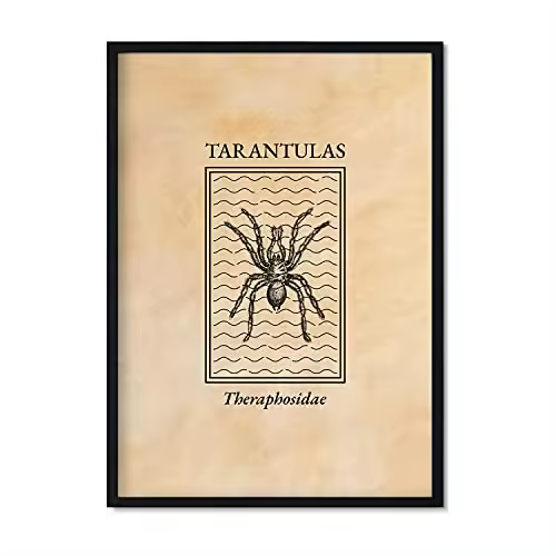 Nacnic Lámina Vintage Tarantula. Pósters De Insectos En Estilo Grabado Y Tonos Sepia. Decoración De Interiores.. - 1