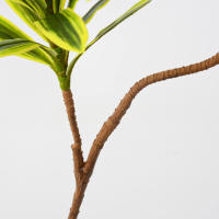 Árbol De Palma Artificial De 66-98cm Con Borde Dorado Y Verde Plástico Y Ramas De Bambú Decoración De Pared Y Escritorio De Plantas Tropicales - details 11