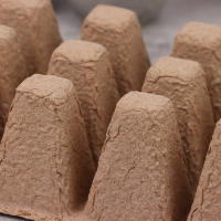 5Pcs Bandeja De Semillero Biodegradable Con 12 Agujeros Para Jardinado Sistema De Crecimiento Hidroponía Herramientas De Plantación - details 19