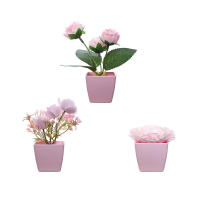 Set De 3 Plantas Miniatura En Macetas Simuladas Para Decoración De Hogares Restaurante Mesas Ventanas Y Estantes Material Plástico Estilo Bonsái - details 0
