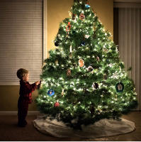 Luces De Hada LED Verde 220V EU Para Exteriores Y Interiores Decoración De Navidad Cumpleaños Árbol Bodas Fiesta Jardín Calidad CE RoHS UL - details 7