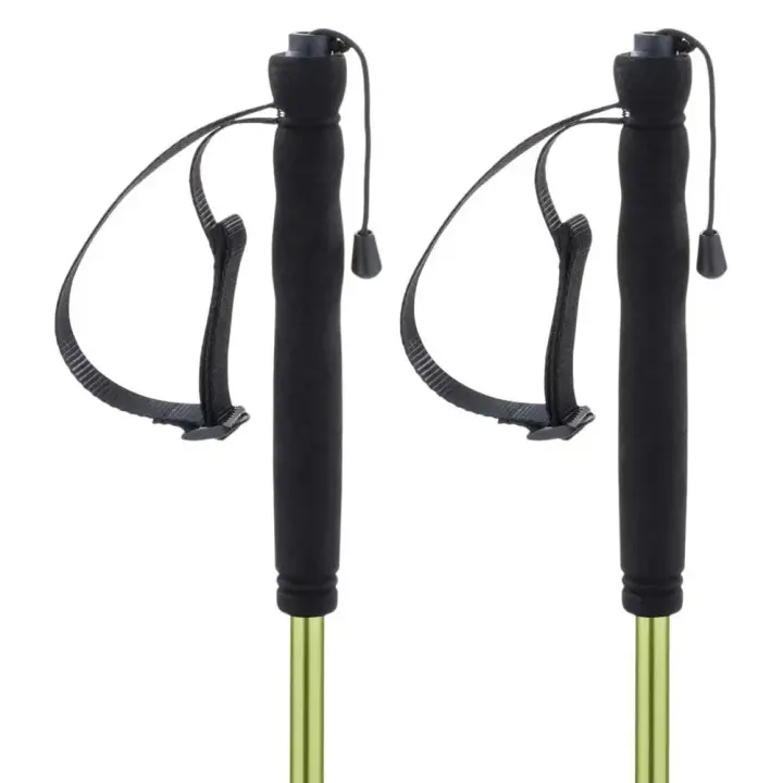 Material senderismo Bastones Ferrino Bastones Jet Verde Unisex - 1