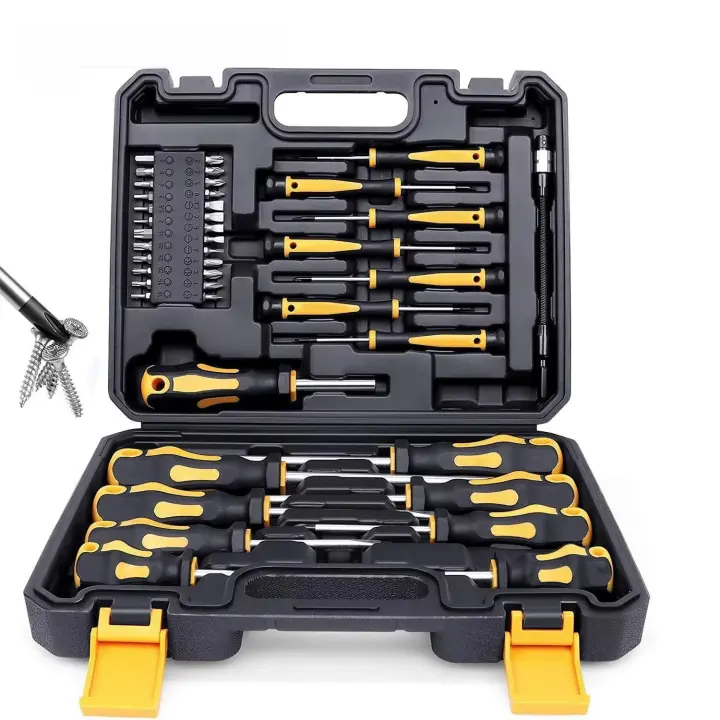 Juego De Destornilladores Magnéticos Con Estuche 43/42 Piezas Incluye Slotted Phillips Hex Pozidriv Torx Herramientas De Precisión Para Hombre - 1