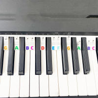 Etiquetas De Teclas De Piano Removibles Para Principiantes Guía Inicial Sin Adhesivo Pegatinas Para Teclado De Piano - details 0