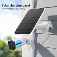 Panel Solar De 10W 5V Micro Tipo-C Para Cámara De Seguridad Y Sistema De Luz Doméstico Pequeño Panel Solar Para Exteriores - details 1