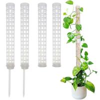 Soporte De Planta Para Escalada Jaula De Soporte Para Plantas Moss De Plástico Verde Accesorios Para Jardín Vínculo De Menta Para Interior - details 1