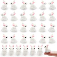 Figuras De Conejitos Miniatura De Resina Lindos 200/100 Piezas Decoración De Miniatura De Conejo Blanco Pequeño Para Jardín De Muñecas Y Paisajismo - details 0