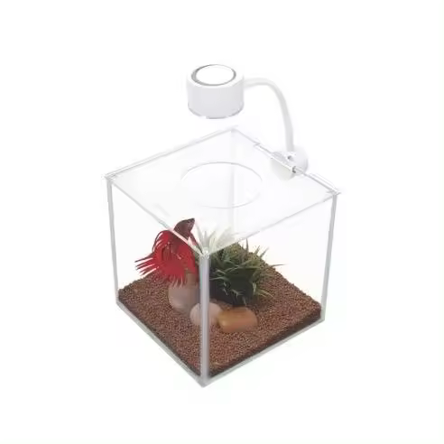 Bettera Cubus Cristal MARINA 3,4 l MARINA - 1