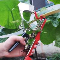 Cinta De PVC Para Enredar Ramas De Plantas Con Tachuelas Herramienta De Jardín Para Frutas Y Árboles Certificación No Incluida Material Plástico - details 4